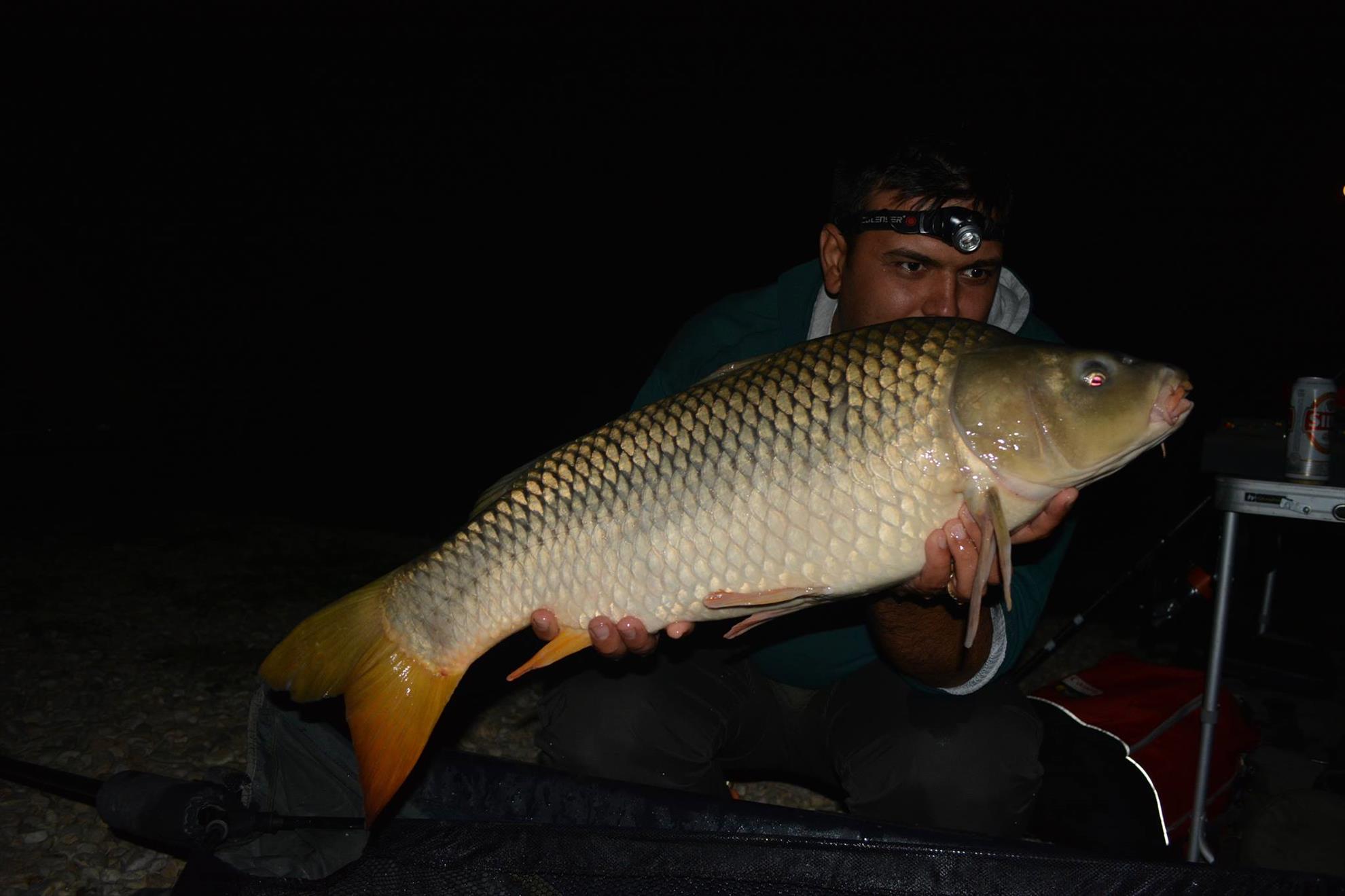 Hermes Peris 12 - 13 septembrie 2014 - 10677037611521922298808233042693o.jpg